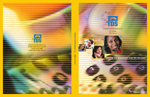 Miniature Telephone and Data Systems
 Rapport annuel 2001