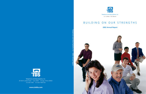 Miniature Telephone and Data Systems
 Rapport annuel 2002