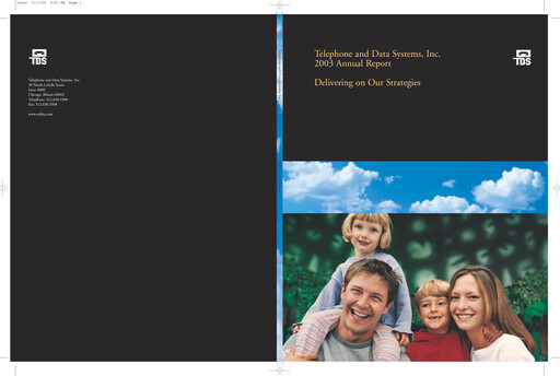 Miniature Telephone and Data Systems
 Rapport annuel 2003