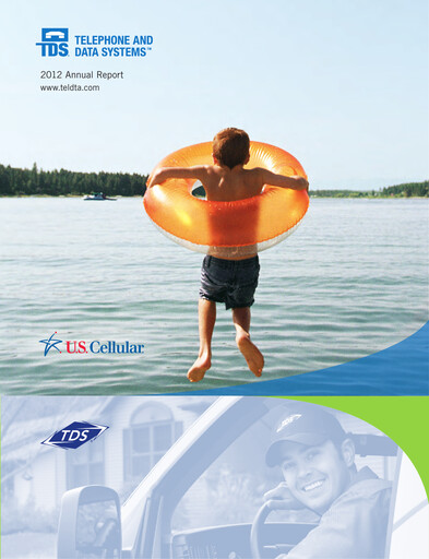 Miniature Telephone and Data Systems
 Rapport annuel 2012