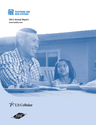 Miniature Telephone and Data Systems
 Rapport annuel 2013