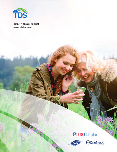Miniature Telephone and Data Systems
 Rapport annuel 2017
