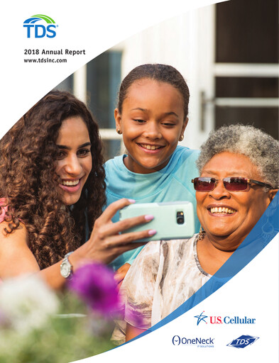 Miniature Telephone and Data Systems
 Rapport annuel 2018