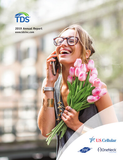 Miniature Telephone and Data Systems
 Rapport annuel 2019