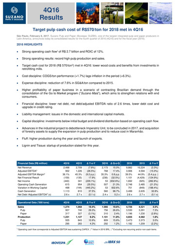 Thumbnail Suzano Quarterly Report 2016-q4