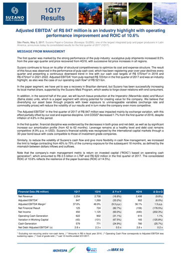 Thumbnail Suzano Quarterly Report 2017-q1