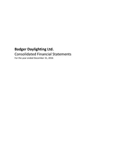 Thumbnail Badger Infrastructure Solutions Financial Statement 2016
