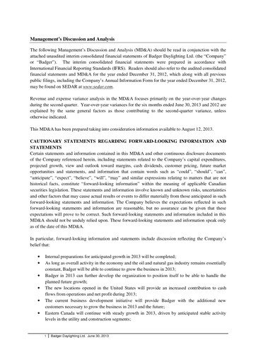 Miniature Badger Infrastructure Solutions Rapport trimestriel 2013-q2
