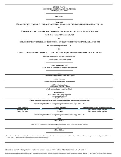 Thumbnail Versus Systems Annual Report 2020