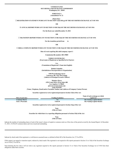 Thumbnail Versus Systems Annual Report 2021