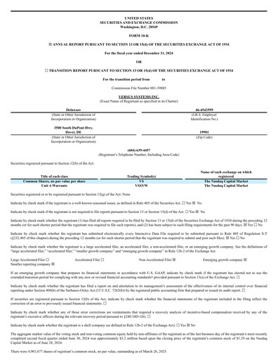 Thumbnail Versus Systems Annual Report 2024
