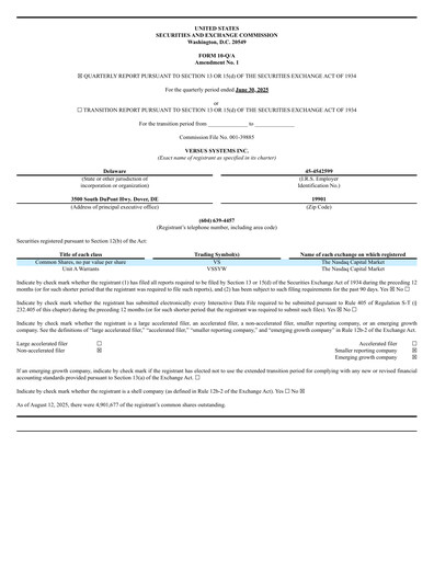 Thumbnail Versus Systems Quarterly Report 2025-q2