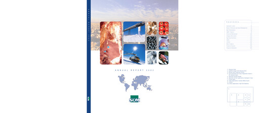 Thumbnail Sociedad Química y Minera Annual Report 2002