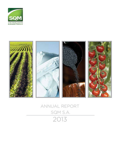 Thumbnail Sociedad Química y Minera Annual Report 2013