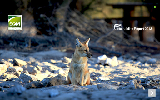 Thumbnail Sociedad Química y Minera Sustainability Report 2013