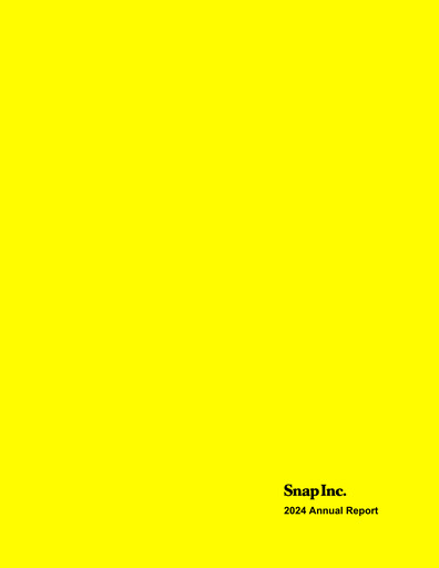 Vorschaubild Snap Jahresbericht 2024