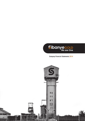 Thumbnail Sibanye-Stillwater
 Financial Statement 2014