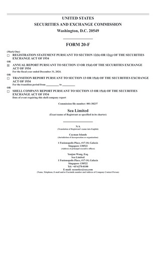 Thumbnail Sea Limited Annual Report 2024