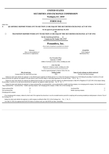 Thumbnail Penumbra Quarterly Report 2024-q2