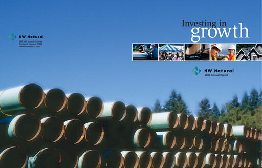 Thumbnail NW Natural Holdings Annual Report 2003