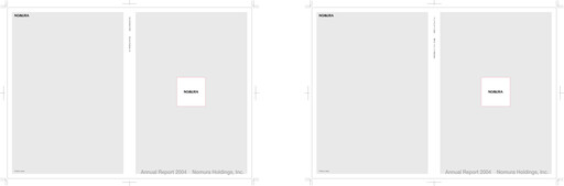 Miniature Nomura Holdings Rapport annuel 2004