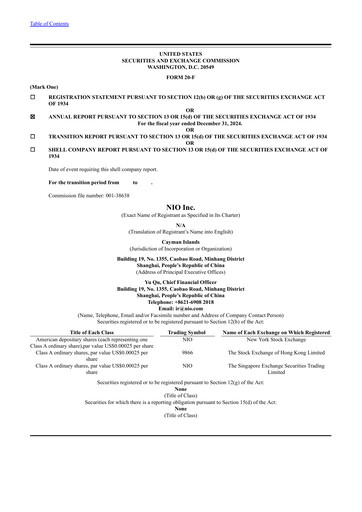 Vorschaubild NIO Jahresbericht 2024