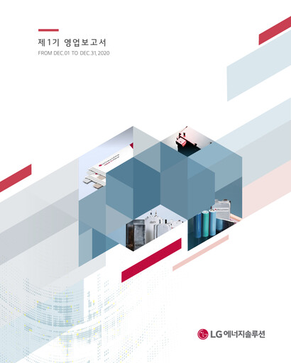 Miniature LG Energy Solution Rapport financier 2020