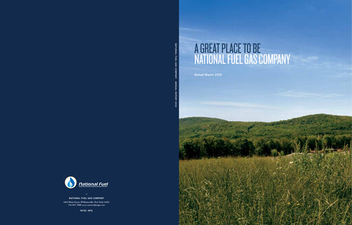 Thumbnail National Fuel Gas
 Annual Report 2010