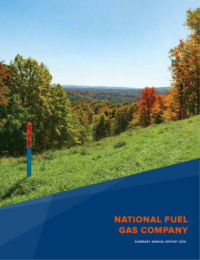 Thumbnail National Fuel Gas
 Annual Report 2016