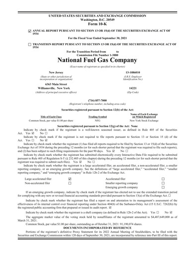 Miniature National Fuel Gas
 Rapport annuel 2021