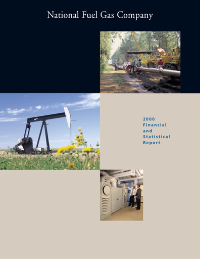 Vorschaubild National Fuel Gas
 Finanzbericht 2000