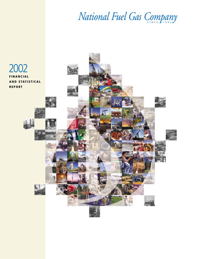 Vorschaubild National Fuel Gas
 Finanzbericht 2002