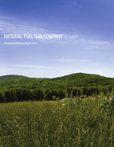 Vorschaubild National Fuel Gas
 Finanzbericht 2010