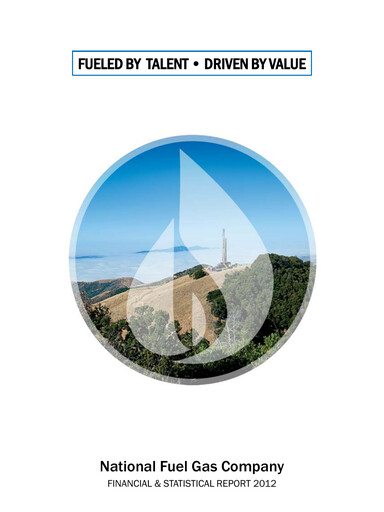Vorschaubild National Fuel Gas
 Finanzbericht 2012