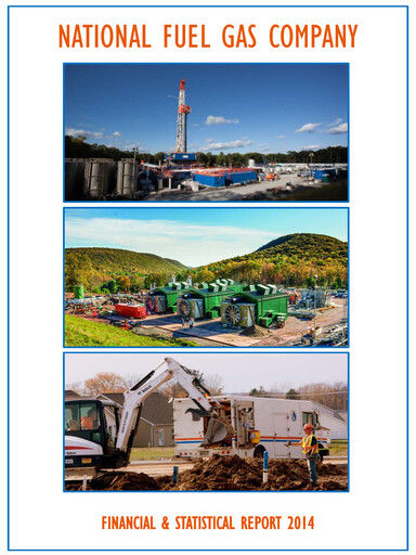 Vorschaubild National Fuel Gas
 Finanzbericht 2014