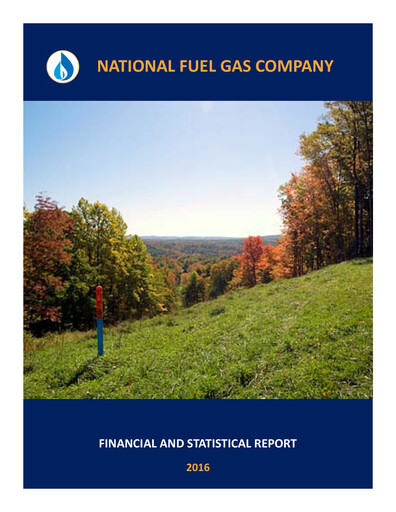 Vorschaubild National Fuel Gas
 Finanzbericht 2016