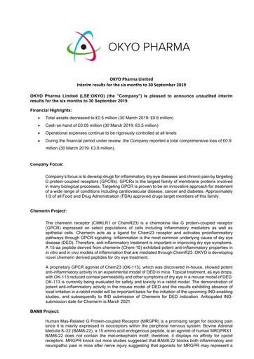 Thumbnail OKYO Pharma Half-year Report 2019-h1
