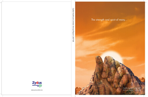 Vorschaubild Zydus Lifesciences Jahresbericht 2007-2008