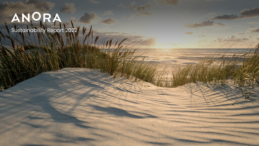 Thumbnail Anora Group Sustainability Report 2022