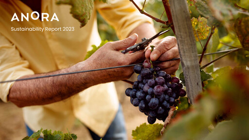 Thumbnail Anora Group Sustainability Report 2023
