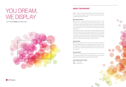 Miniature LG Display Rapport de durabilité 2012-2013