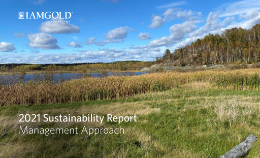 Thumbnail Iamgold
 Sustainability Report 2021