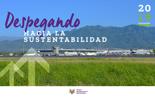 Miniature Grupo Aeroportuario del Pacífico
 Rapport de durabilité 2019