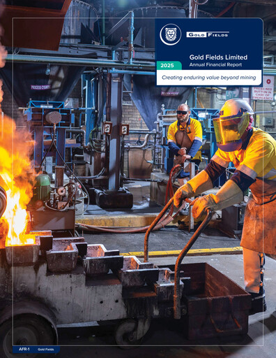 Miniature Gold Fields
 Bilan financier 2025