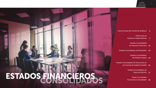 Thumbnail Fomento Económico Mexicano (FEMSA) Financial Statement 2019