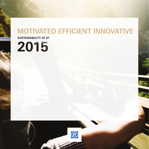 Miniature ZF Commercial Vehicle Control Systems India Rapport de durabilité 2015