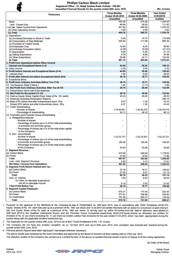 Vorschaubild PCBL Limited Quartalsbericht 2010-q1