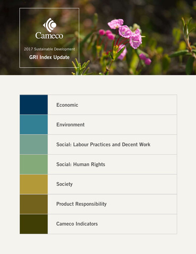Thumbnail Cameco
 Sustainability Report 2017