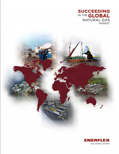 Miniature Enerflex Rapport annuel 2012