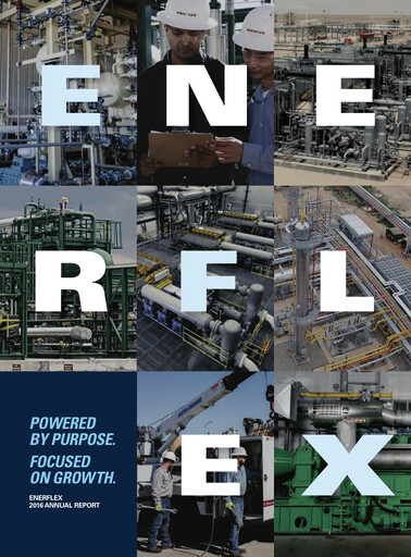 Miniature Enerflex Rapport annuel 2016